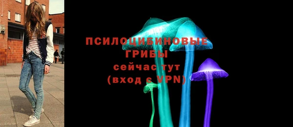 прущий лед Алексеевка