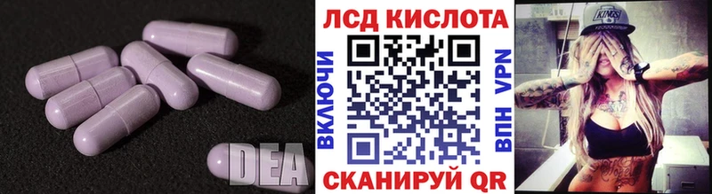 ЛСД экстази кислота  где найти   блэк спрут как войти  Богданович 