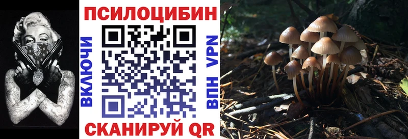 где продают   Богданович  Галлюциногенные грибы прущие грибы 
